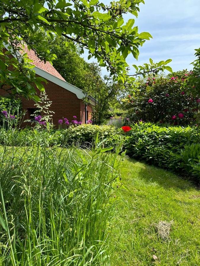 Haystackcottage Paterswolde Exteriör bild