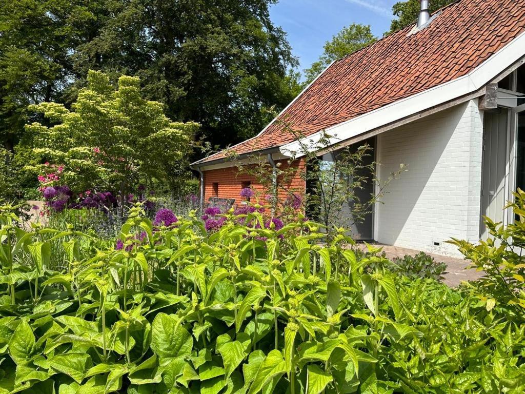 Haystackcottage Paterswolde Exteriör bild
