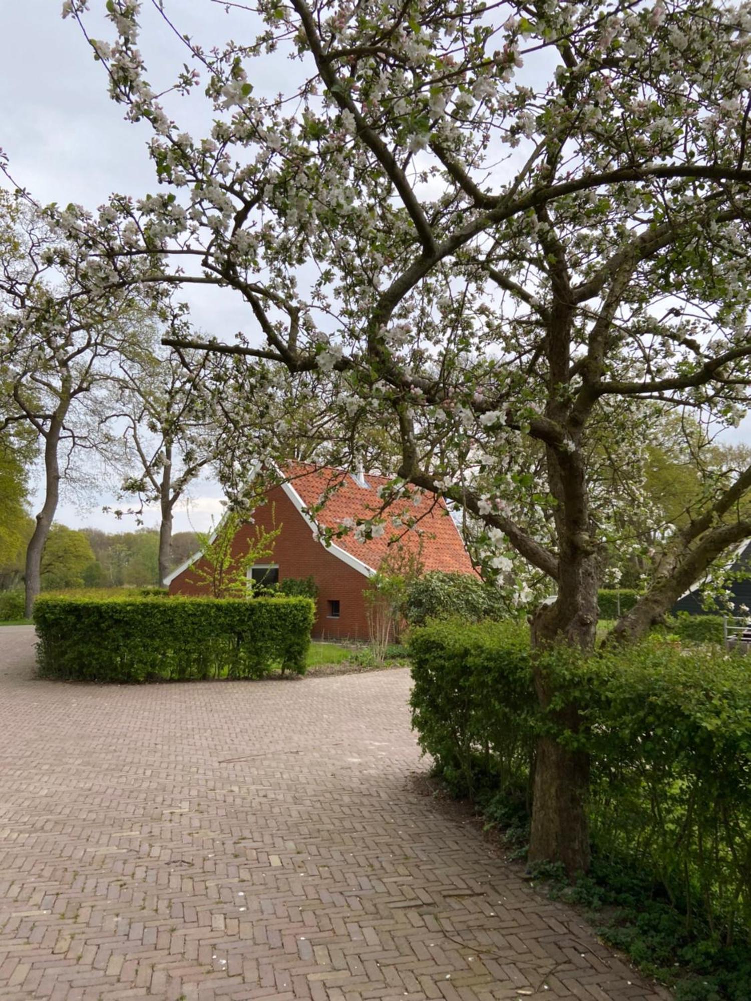 Haystackcottage Paterswolde Exteriör bild